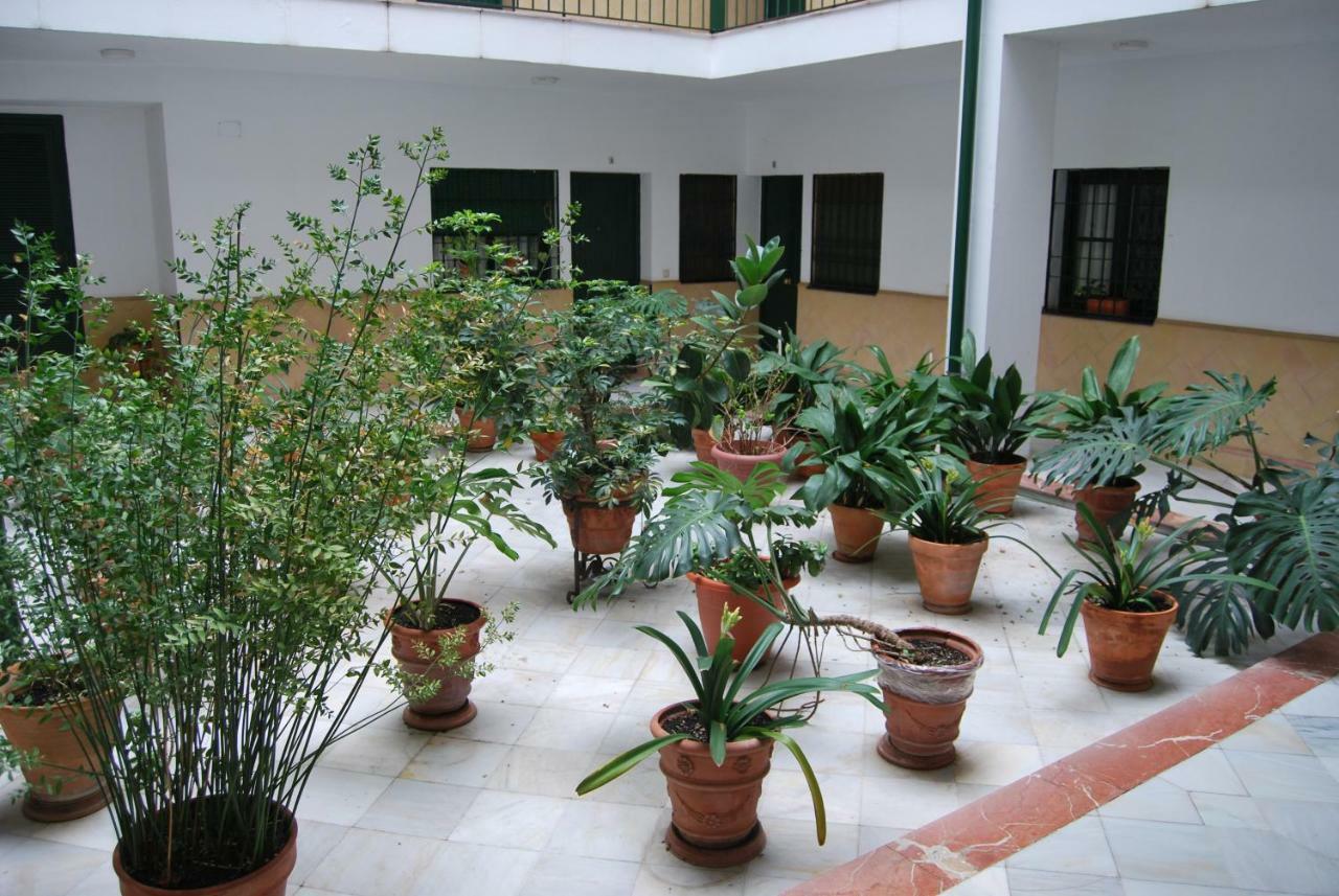 Apartmán El Rincon De Aurora Sevilla Exteriér fotografie